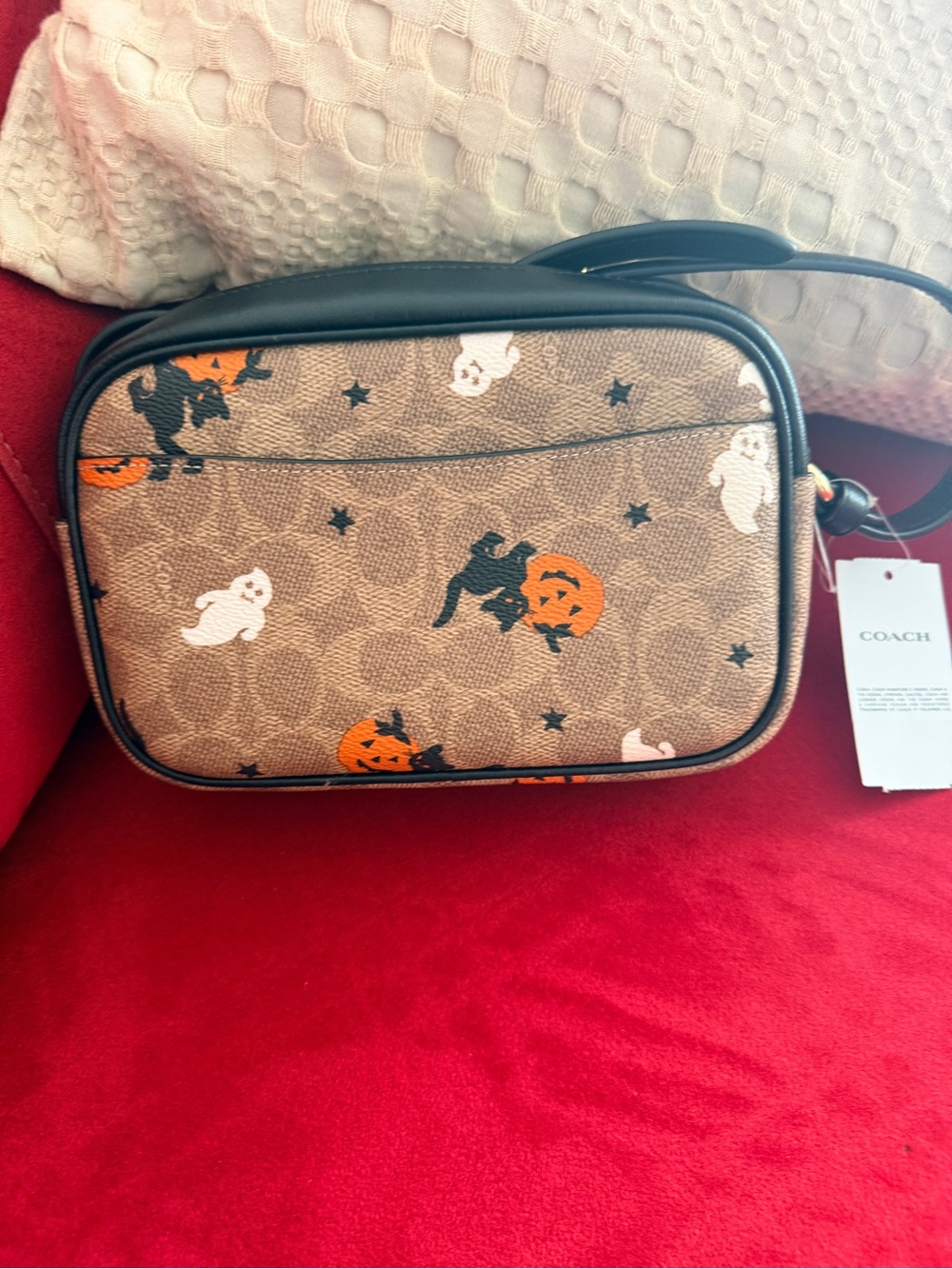🎃 Rare Coach Halloween Ghost Cat Pumpkin Mini Jamie Camera Bag NWT 👻 - Picture 7 of 8